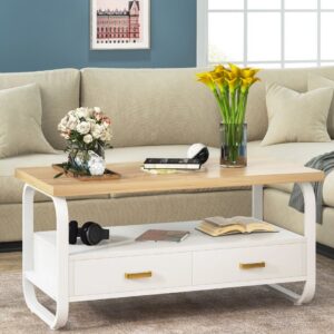 2-Drawer Center Table with Open Storage Shelf – Coffee Table