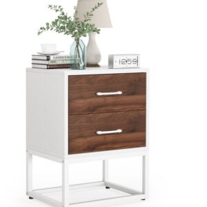 Modern Sofa Side Table, 2 Drawers Nightstand – End Table